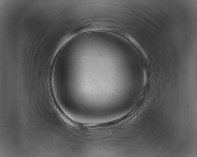 X0000052991197200507081141