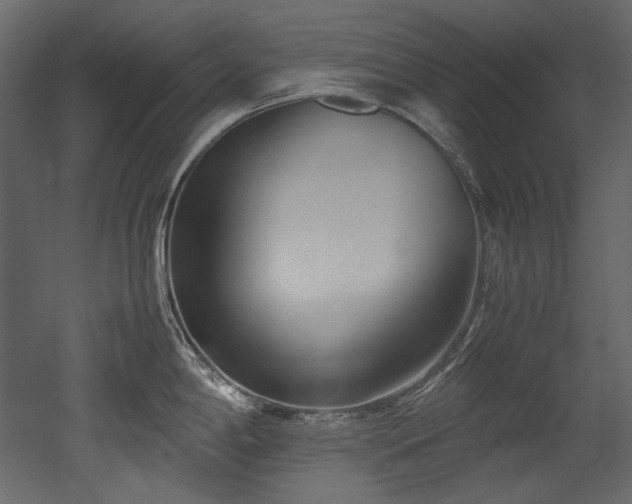 X0000052991198200507081141