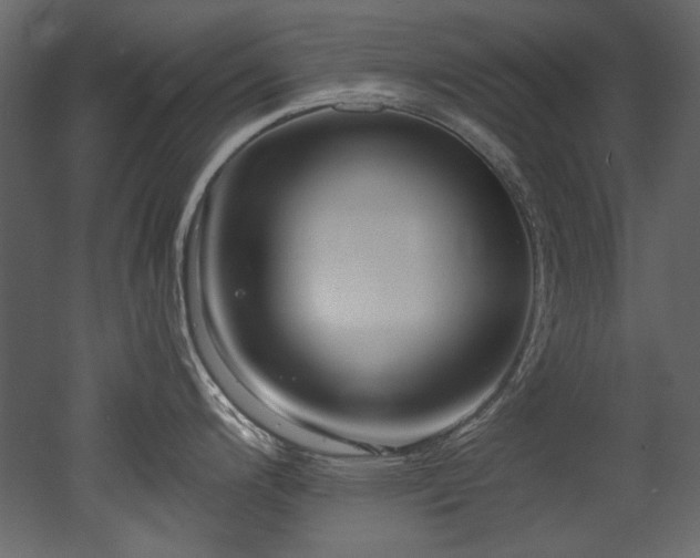 X0000052991200200507081141