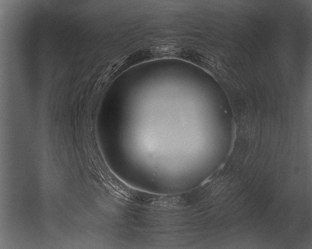 X0000052991201200507081140