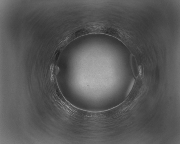 X0000052991203200507081140