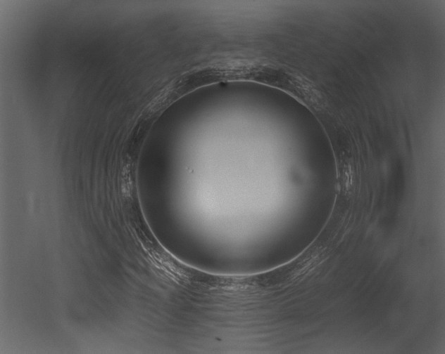 X0000052991204200507081140
