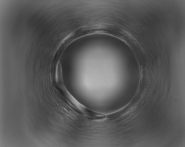 X0000052991210200507081140