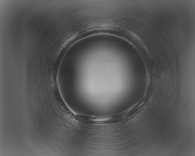 X0000052991218200507081140