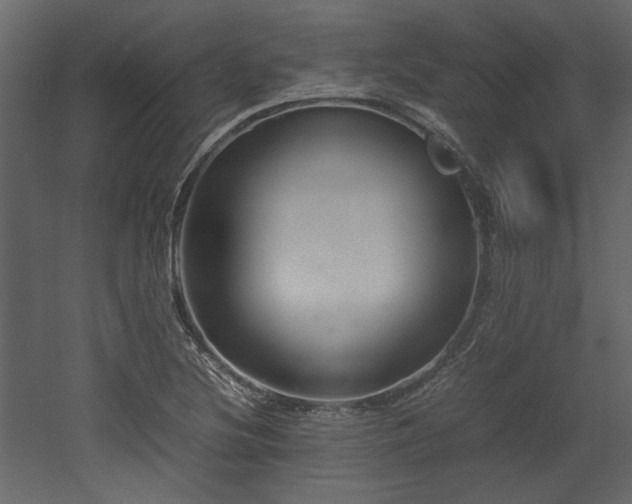 X0000052991220200507081140