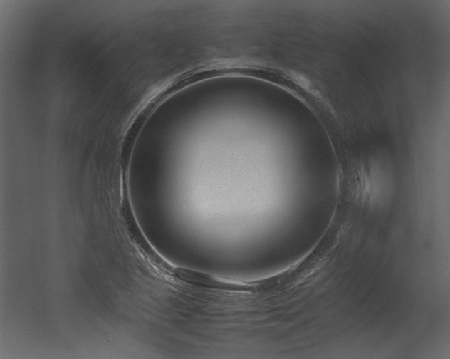 X0000052991221200507081140