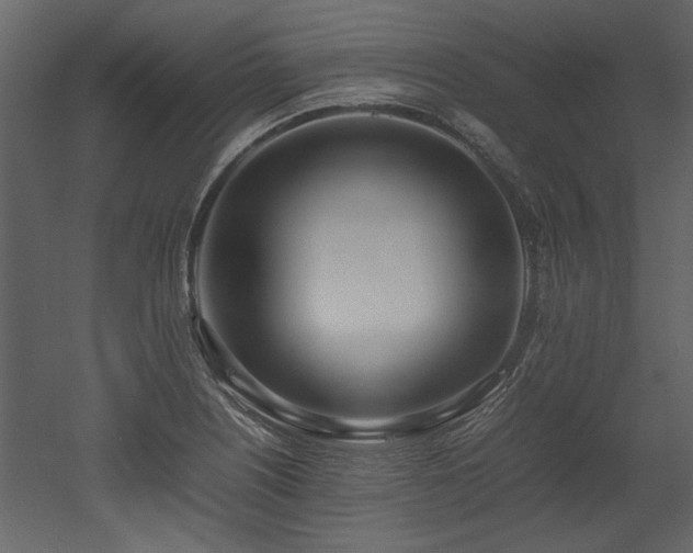 X0000052991226200507081140