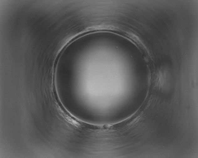 X0000052991228200507081140