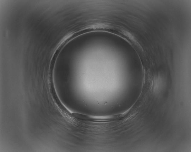 X0000052991229200507081140