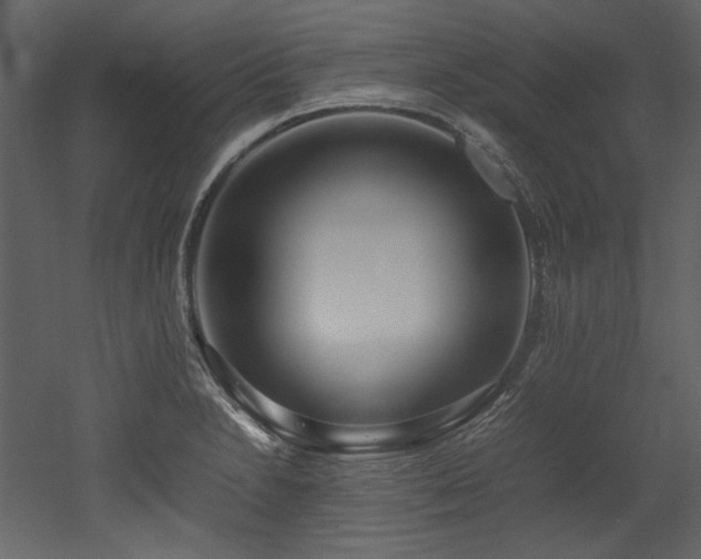 X0000052991230200507081140