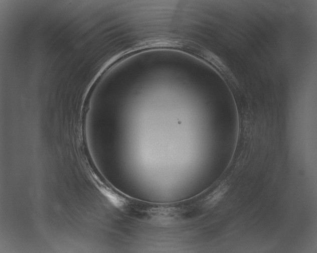 X0000052991236200507081140
