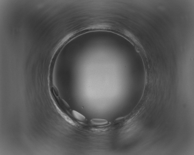 X0000052991237200507081141