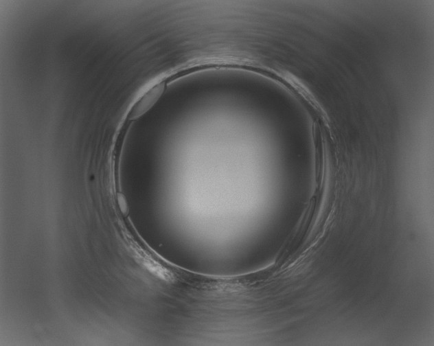 X0000052991238200507081141