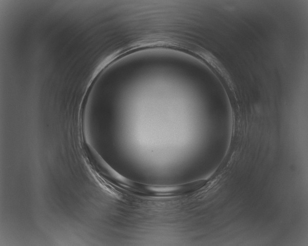 X0000052991242200507081141