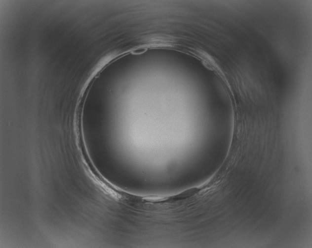 X0000052991243200507081141