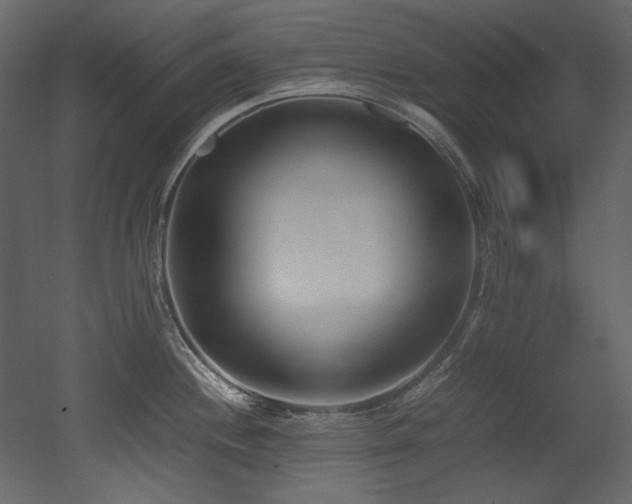 X0000052991244200507081141