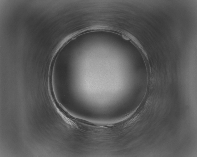 X0000052991245200507081141
