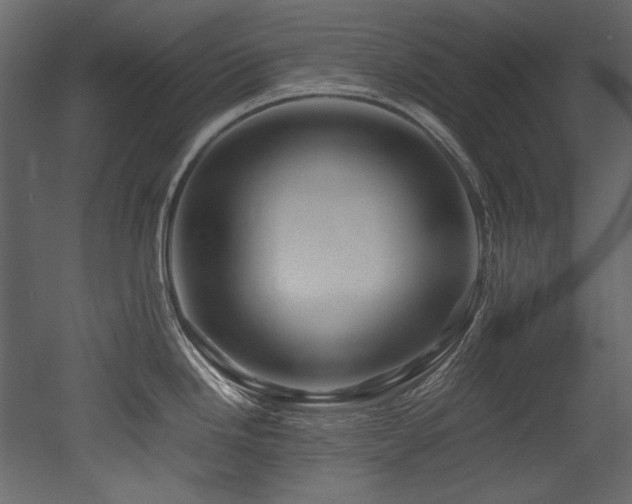 X0000052991246200507081141