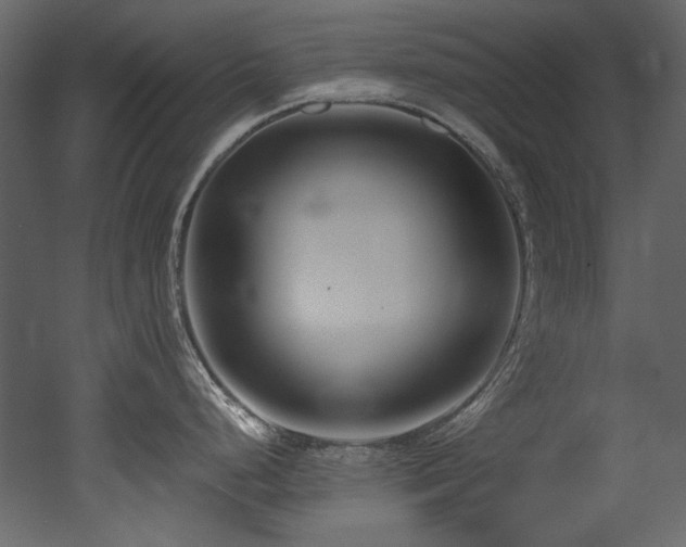 X0000052991248200507081141