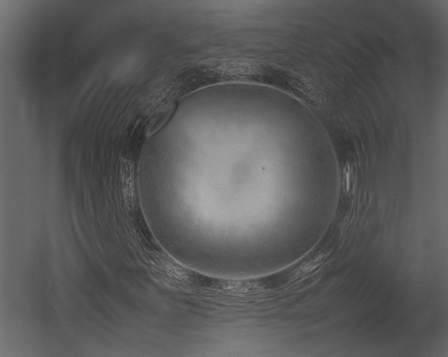 X0000052991251200507081140