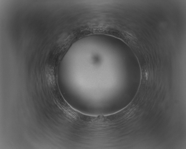 X0000052991252200507081140