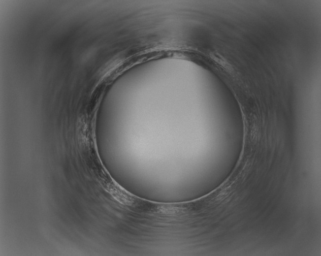 X0000052991258200507081140