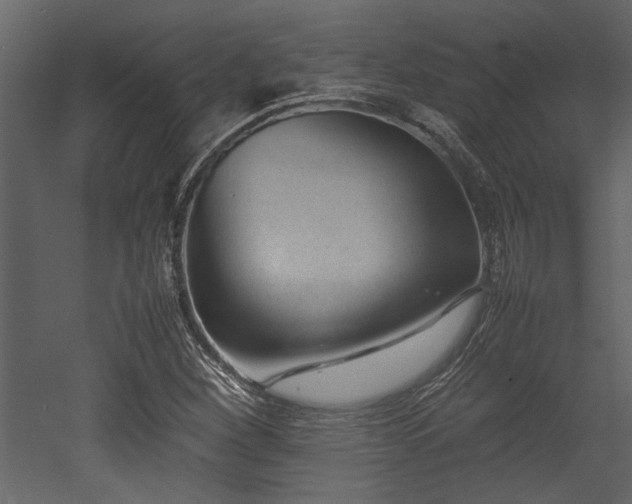 X0000052991260200507081140