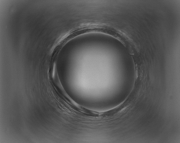 X0000052991261200507081140