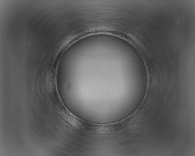 X0000052991266200507081140