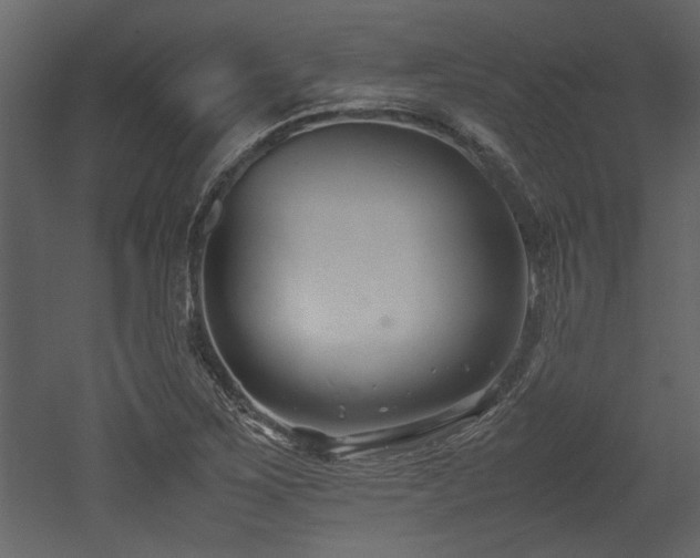 X0000052991267200507081140