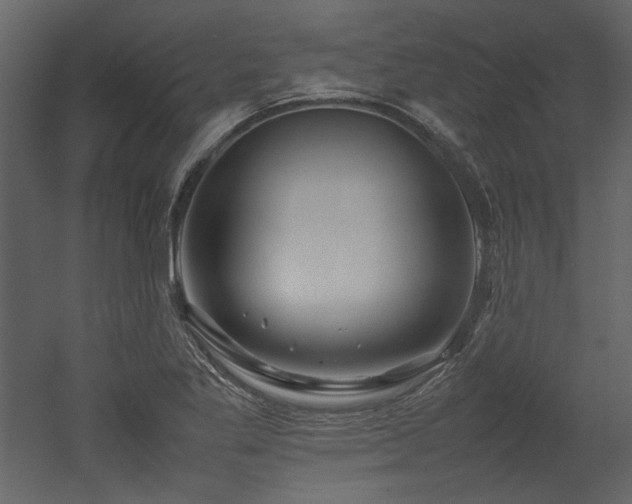 X0000052991269200507081140