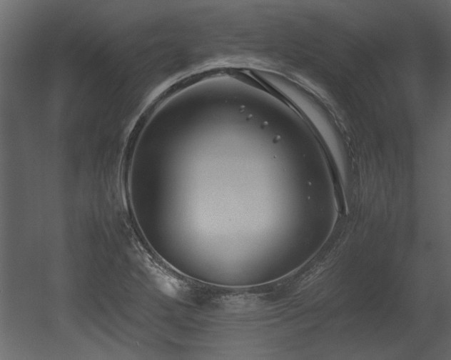 X0000052991272200507081139