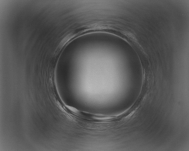 X0000052991273200507081139