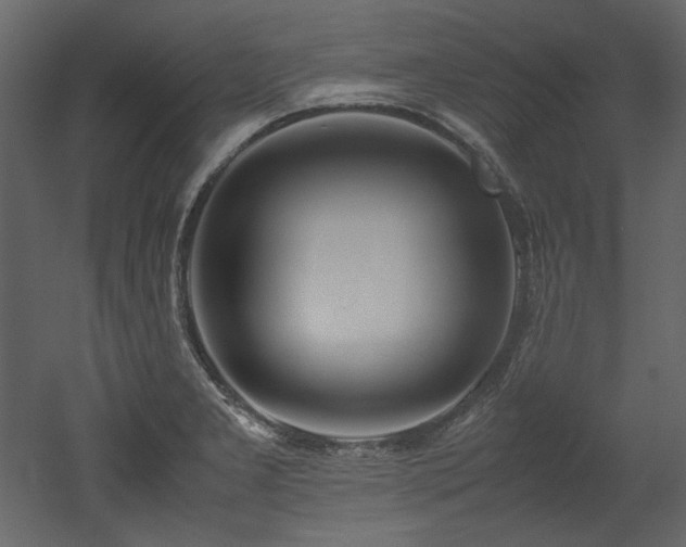 X0000052991277200507081139