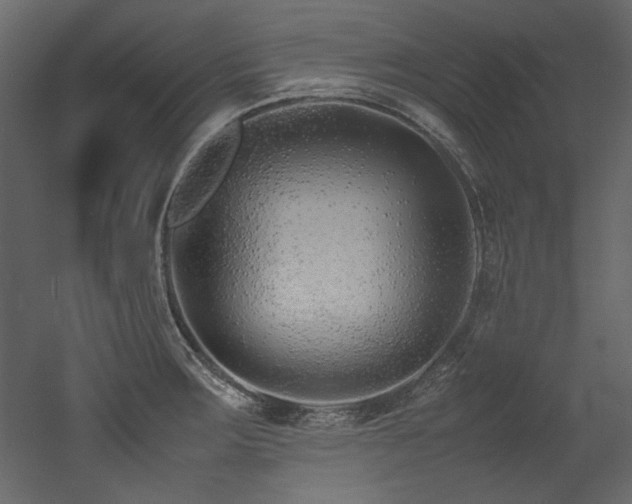 X0000052991283200507081139