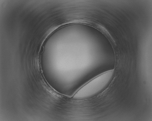 X0000052991284200507081139