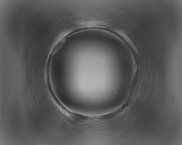 X0000052991285200507081139