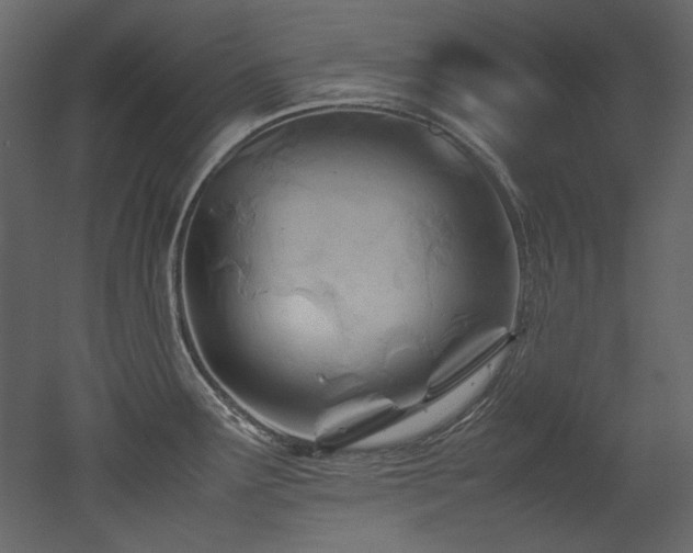 X0000052991291200507081139