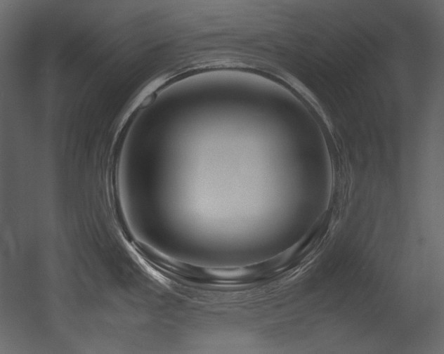 X0000052991293200507081139