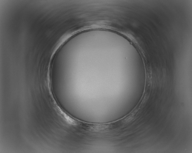 X0000052991294200507081139