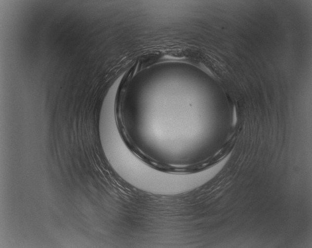 X0000052991298200507081138