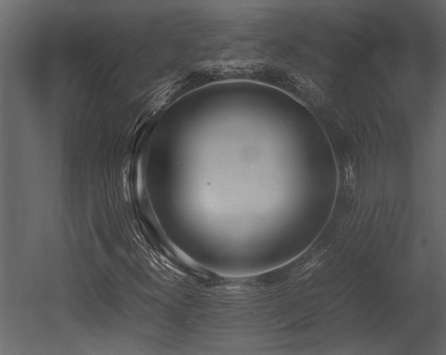 X0000052991300200507081138