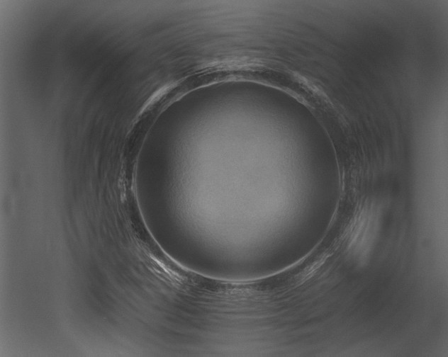 X0000052991306200507081138
