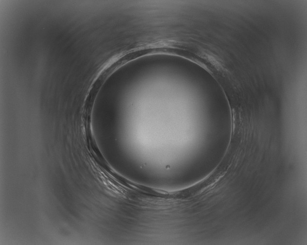 X0000052991308200507081138