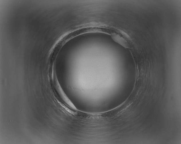 X0000052991310200507081138