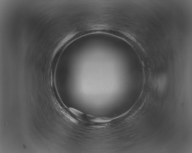 X0000052991317200507081139
