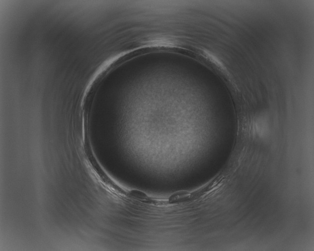 X0000052991323200507081139