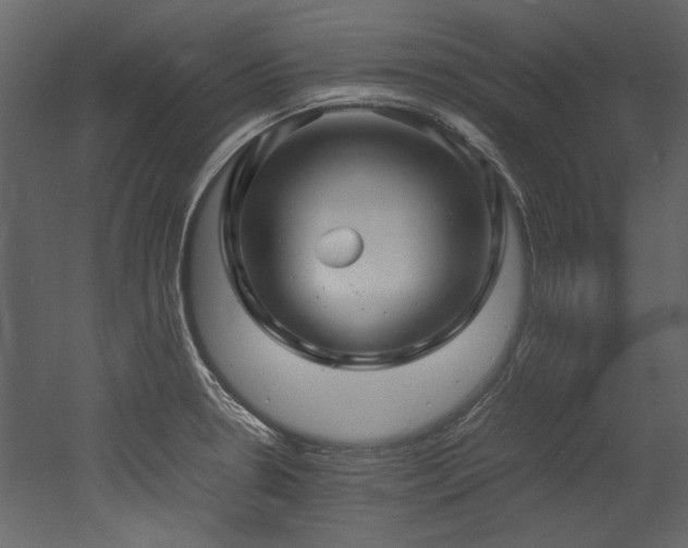 X0000052991330200507081139