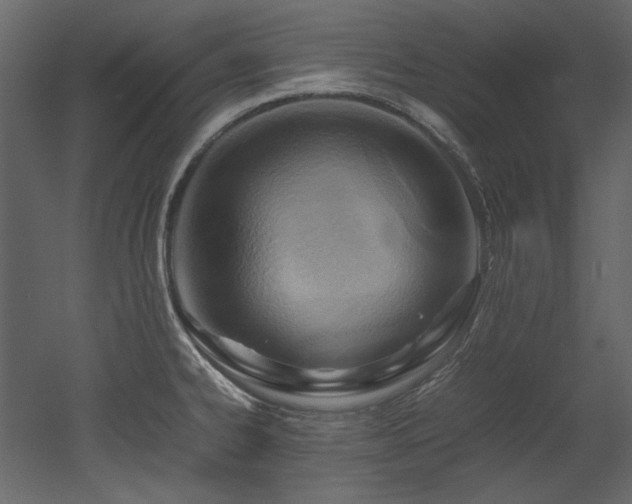 X0000052991334200507081139