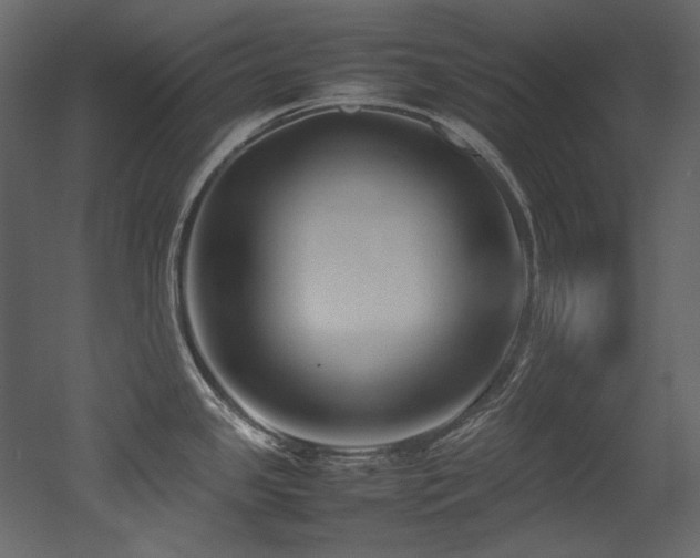 X0000052991341200507081139